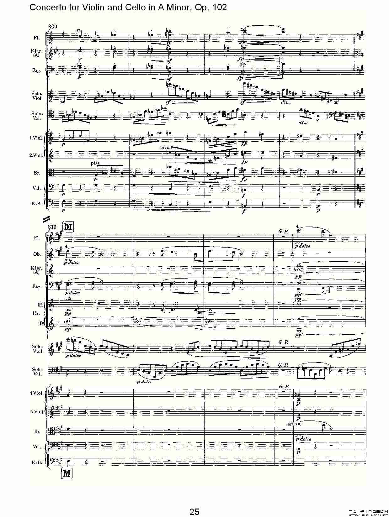 午夜福利专区在线视频 A小调小提琴与大提琴协奏曲, Op.102第一乐章