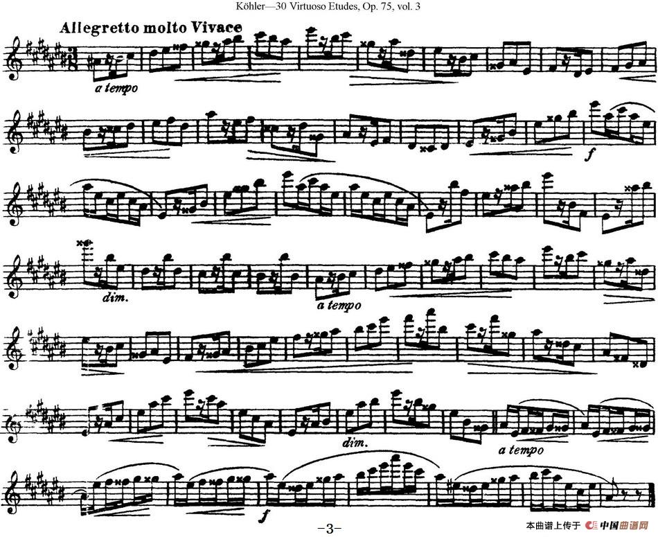 午夜男女自慰在线观看 柯勒30首高级长笛练习曲作品75号（NO.28）